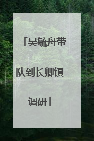 吴毓舟带队到长卿镇调研