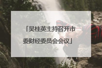 吴桂英主持召开市委财经委员会会议