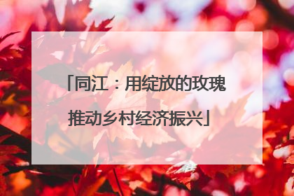 同江：用绽放的玫瑰 推动乡村经济振兴