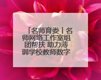 名师育娄丨名师网络工作室组团帮扶 助力薄弱学校教师数字素养提升