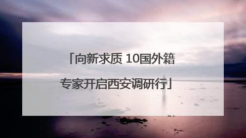 向新求质 10国外籍专家开启西安调研行