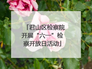 君山区检察院开展“六一”检察开放日活动