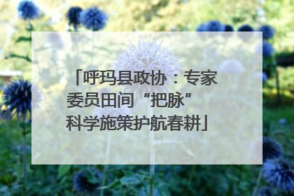 呼玛县政协：专家委员田间“把脉” 科学施策护航春耕