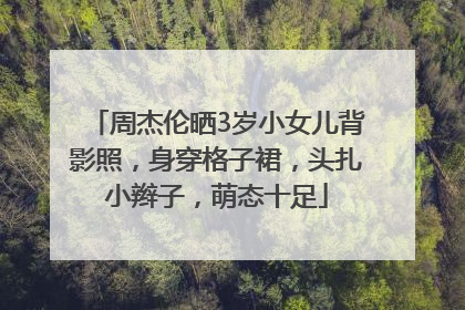 周杰伦晒3岁小女儿背影照，身穿格子裙，头扎小辫子，萌态十足