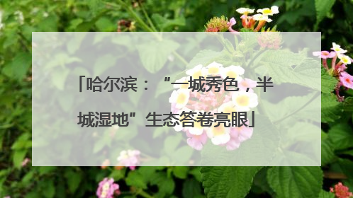 哈尔滨：“一城秀色，半城湿地”生态答卷亮眼