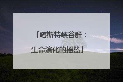 喀斯特峡谷群：生命演化的摇篮
