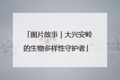 图片故事｜大兴安岭的生物多样性守护者
