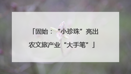 固始：“小珍珠”亮出农文旅产业“大手笔”