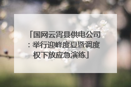 国网云霄县供电公司：举行迎峰度夏暨调度权下放应急演练