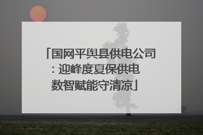 国网平舆县供电公司：迎峰度夏保供电  数智赋能守清凉