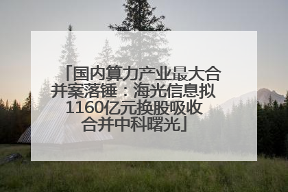 国内算力产业最大合并案落锤：海光信息拟1160亿元换股吸收合并中科曙光
