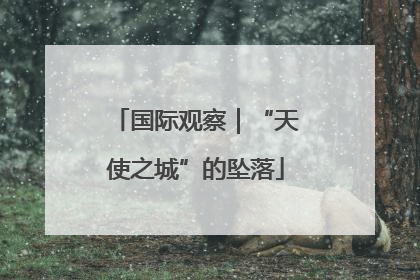 国际观察｜“天使之城”的坠落