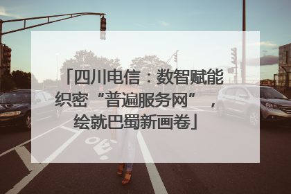 四川电信：数智赋能织密“普遍服务网”，绘就巴蜀新画卷