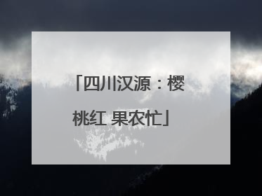 四川汉源：樱桃红 果农忙