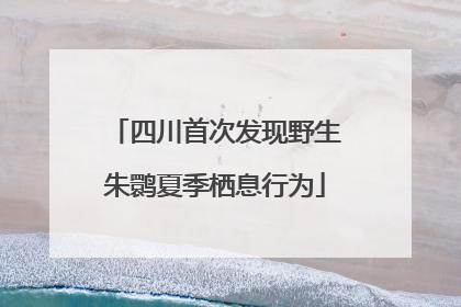 四川首次发现野生朱鹮夏季栖息行为