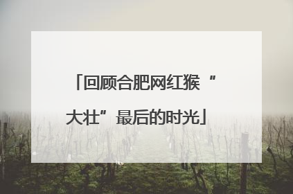 回顾合肥网红猴“大壮”最后的时光