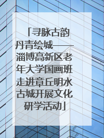 寻脉古韵 丹青绘城——淄博高新区老年大学国画班走进章丘明水古城开展文化研学活动