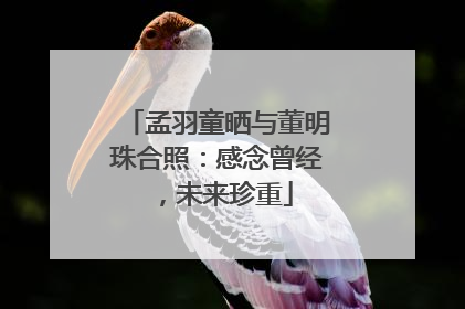 孟羽童晒与董明珠合照：感念曾经，未来珍重