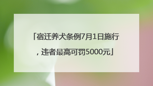 宿迁养犬条例7月1日施行，违者最高可罚5000元