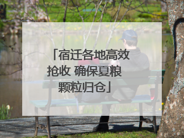 宿迁各地高效抢收 确保夏粮颗粒归仓