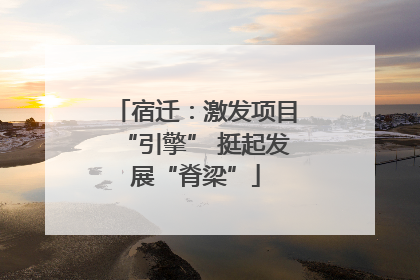 宿迁：激发项目“引擎” 挺起发展“脊梁”