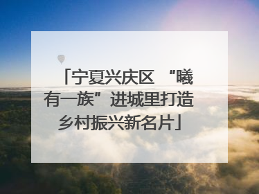 宁夏兴庆区 “曦有一族”进城里打造乡村振兴新名片