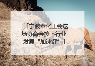 宁波奉化工会这场协商会按下行业发展“加速键”