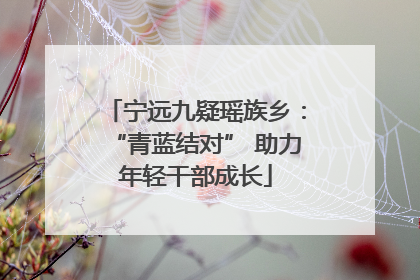 宁远九疑瑶族乡：“青蓝结对” 助力年轻干部成长