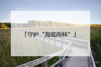 守护“海底雨林”