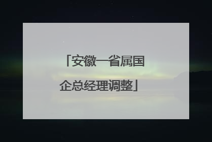 安徽一省属国企总经理调整