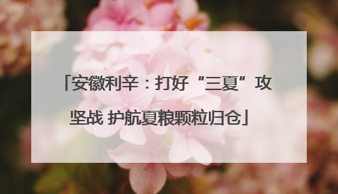 安徽利辛：打好“三夏”攻坚战 护航夏粮颗粒归仓