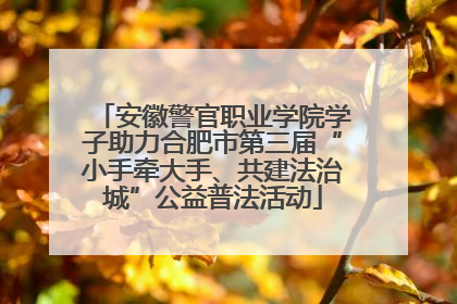 安徽警官职业学院学子助力合肥市第三届“小手牵大手、共建法治城”公益普法活动