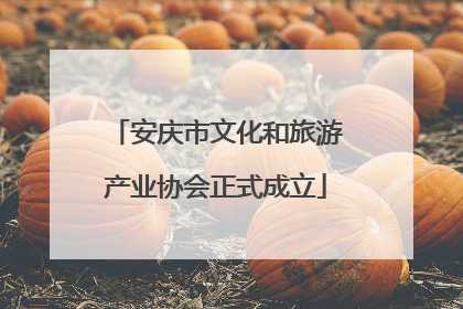 安庆市文化和旅游产业协会正式成立