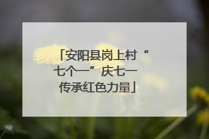 安阳县岗上村“七个一”庆七一 传承红色力量