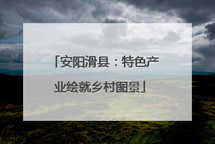 安阳滑县：特色产业绘就乡村图景