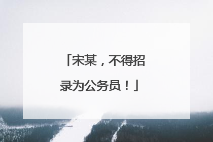宋某，不得招录为公务员！