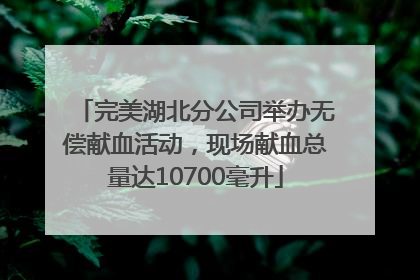 完美湖北分公司举办无偿献血活动，现场献血总量达10700毫升