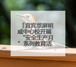 宜宾翠屏明威中心校开展“安全生产月”系列教育活动