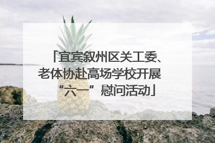 宜宾叙州区关工委、老体协赴高场学校开展“六一”慰问活动