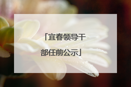 宜春领导干部任前公示