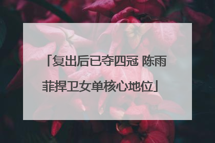 复出后已夺四冠 陈雨菲捍卫女单核心地位