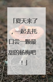 夏天来了，一起去托口尝一颗最甜的杨梅吧！