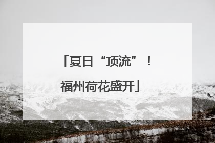 夏日“顶流”！福州荷花盛开