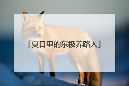 夏日里的东极养路人