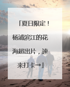夏日限定！杨浦滨江的花海超出片，速来打卡→