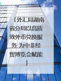 外汇局湖南省分局以高质效外币兑换服务 为中非经贸博览会赋能