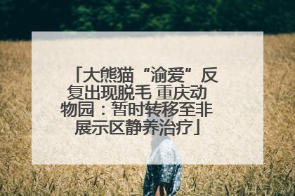 大熊猫“渝爱”反复出现脱毛 重庆动物园：暂时转移至非展示区静养治疗
