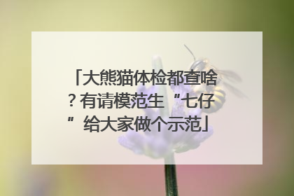 大熊猫体检都查啥？有请模范生“七仔”给大家做个示范