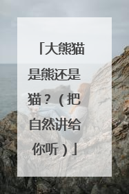 大熊猫是熊还是猫？（把自然讲给你听）