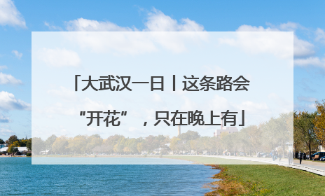 大武汉一日丨这条路会“开花”，只在晚上有